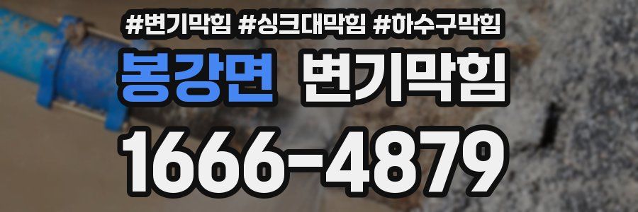 변기막힘