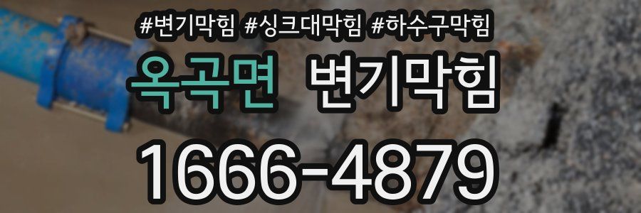 변기막힘