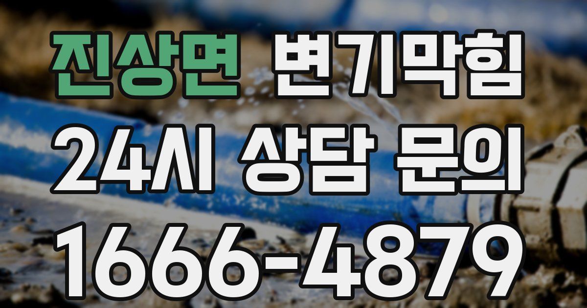 진상면 변기