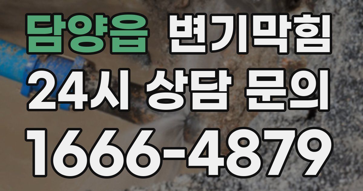 담양읍 변기