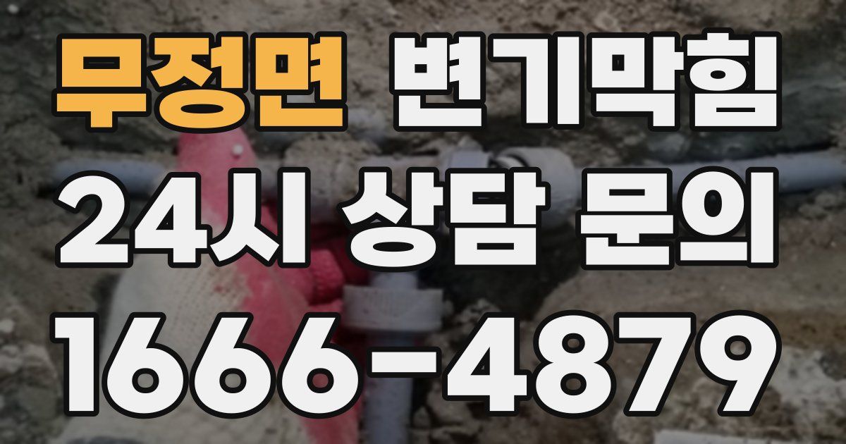 무정면 변기