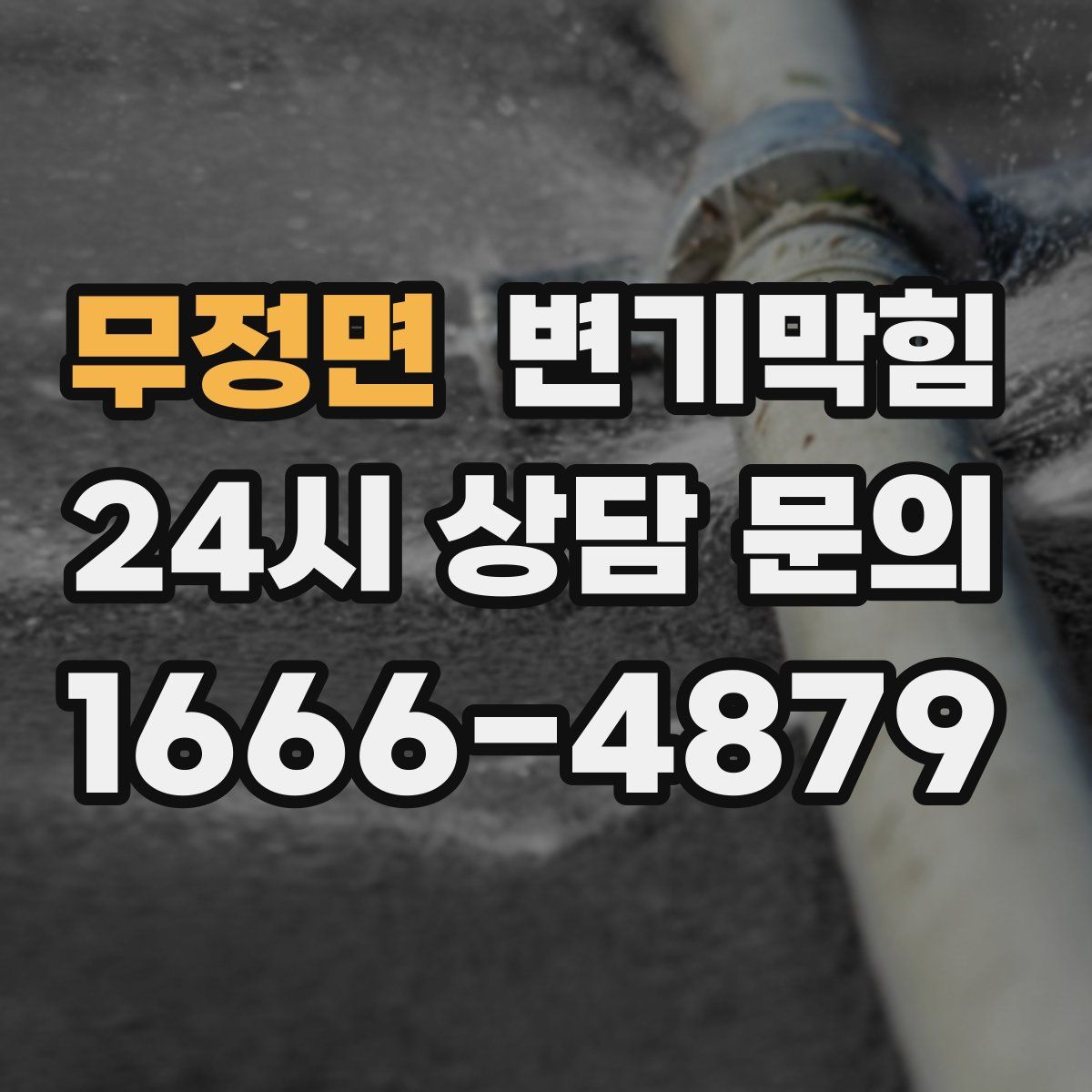 무정면 변기막힘