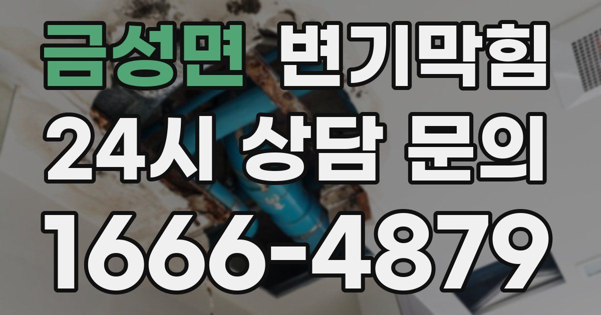 금성면 변기