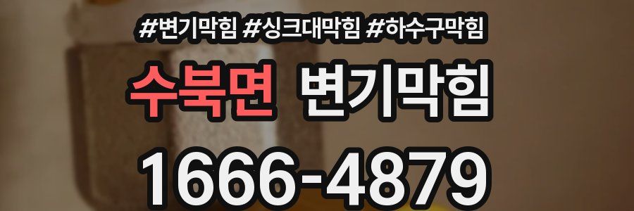 변기막힘
