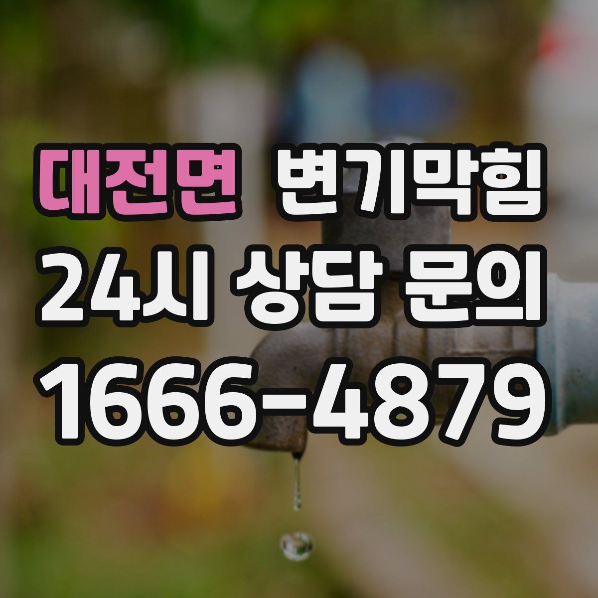 대전면 변기막힘 원룸 배수구막힘 내시경 사진으로 확인