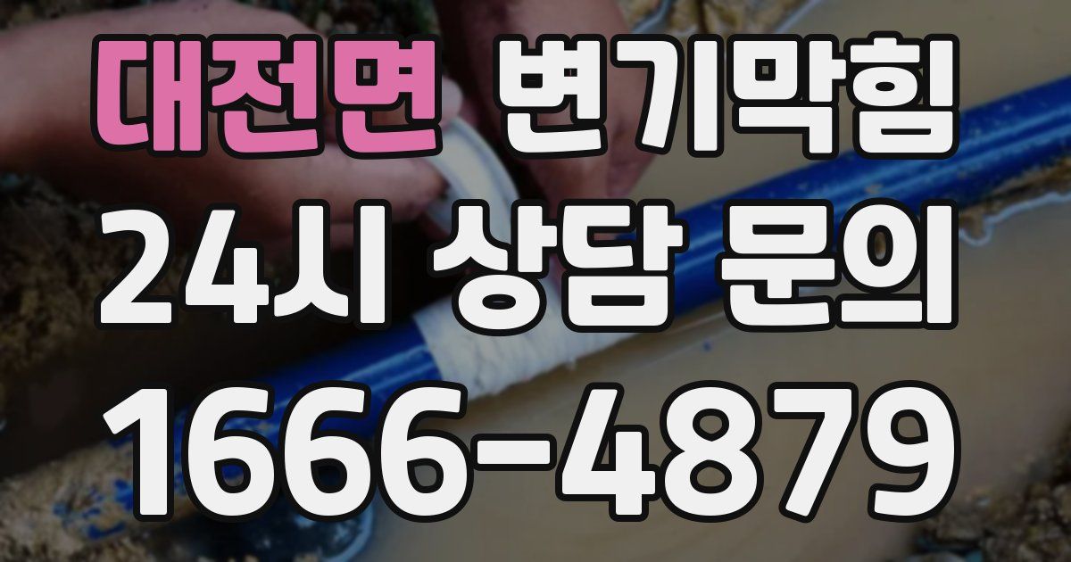 대전면 변기