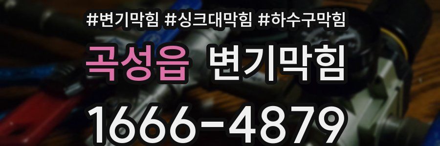 변기막힘