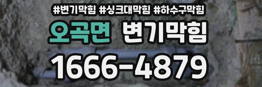 변기막힘