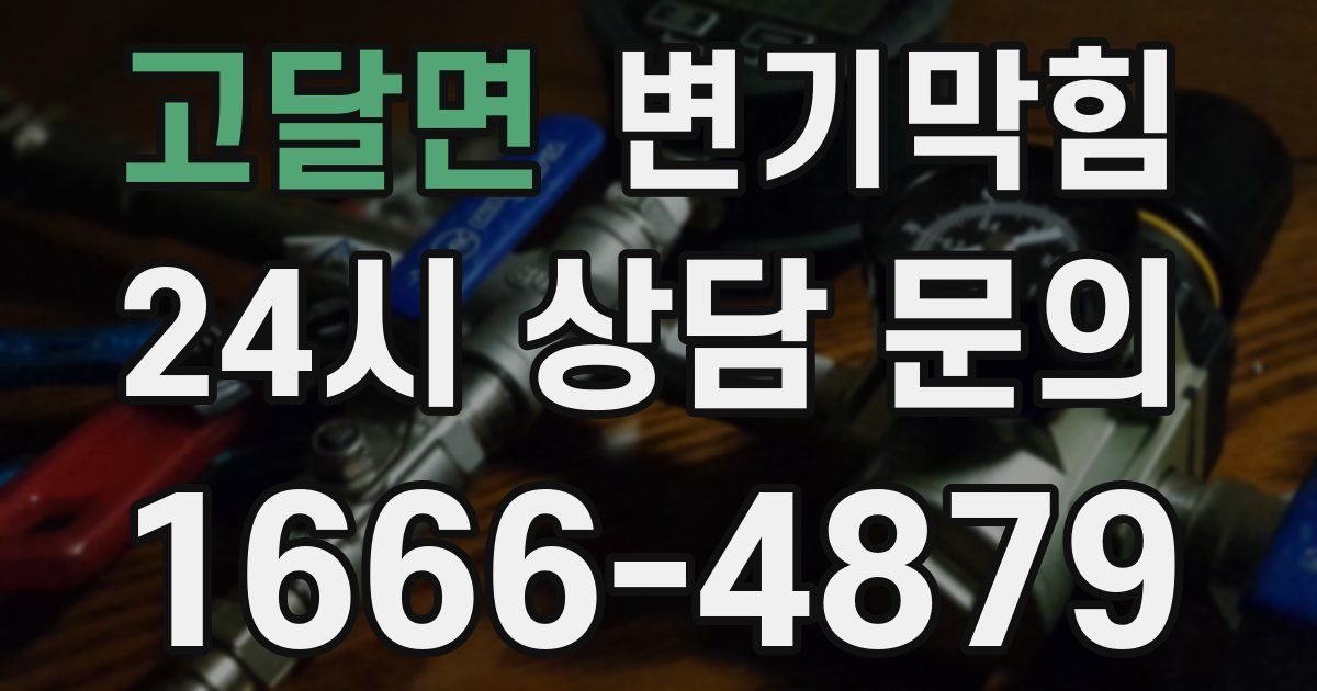 고달면 변기