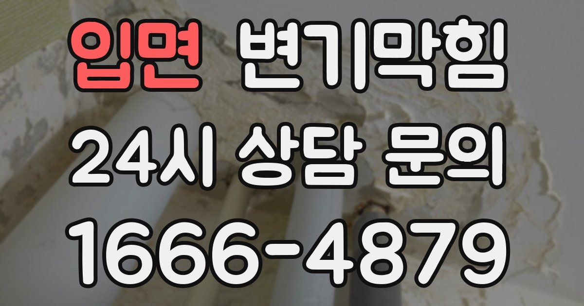 입면 변기