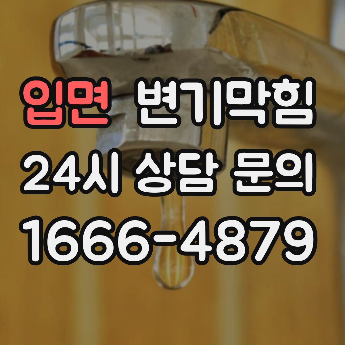 입면 변기막힘