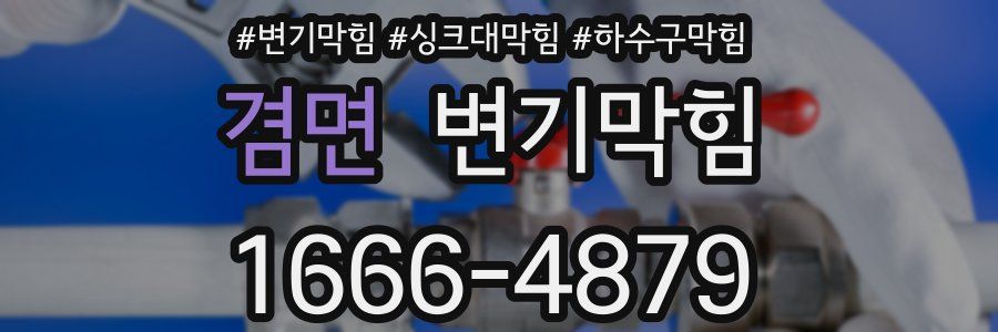 변기막힘