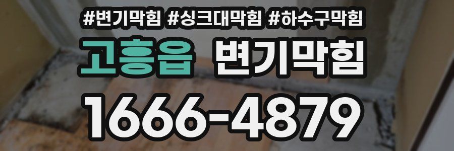 변기막힘
