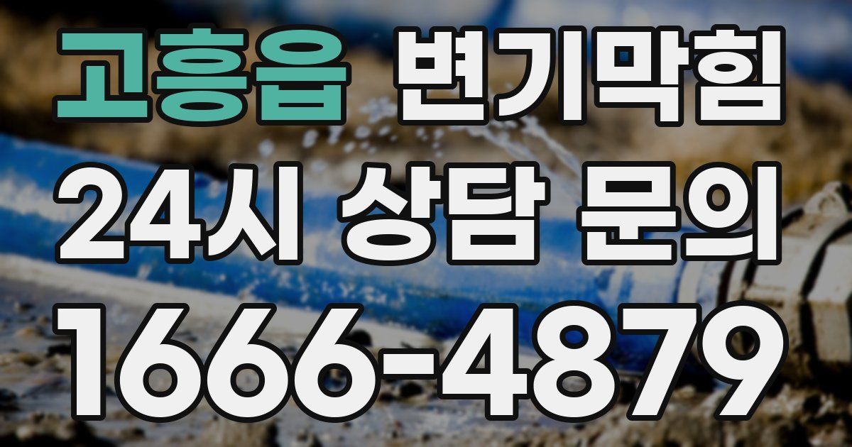 고흥읍 변기