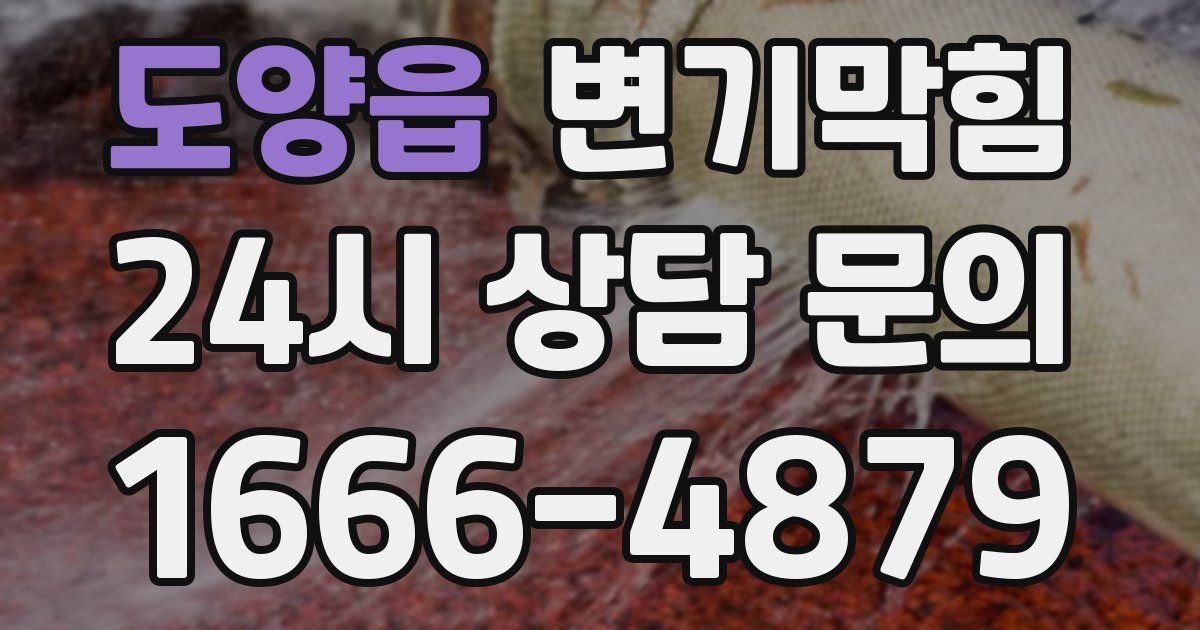 도양읍 변기