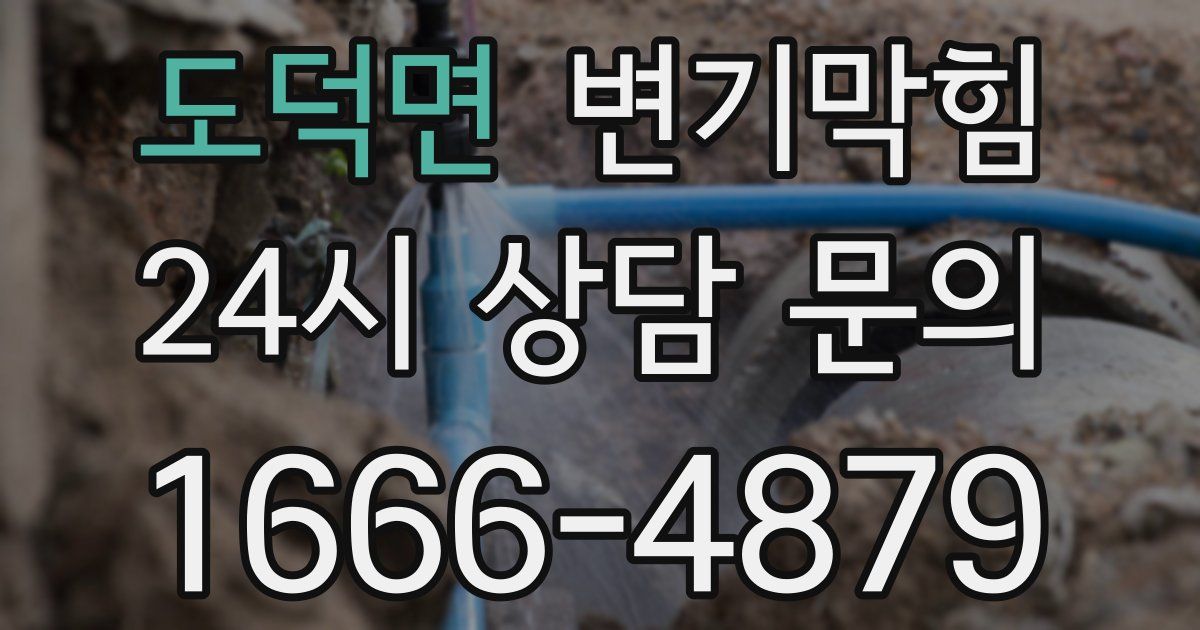 도덕면 변기