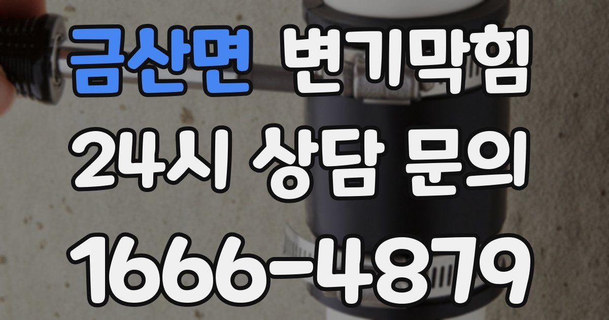 금산면 변기