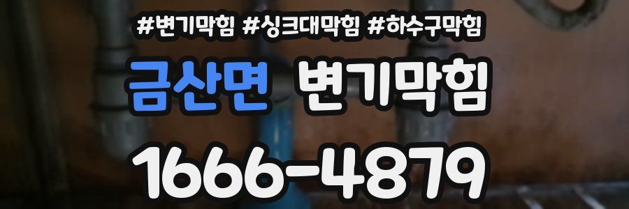 변기막힘