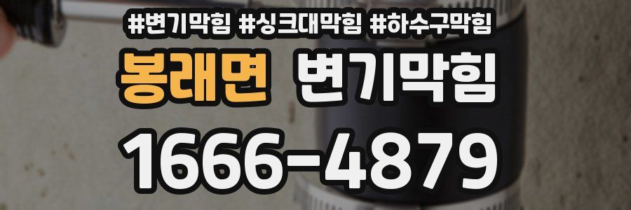 변기막힘