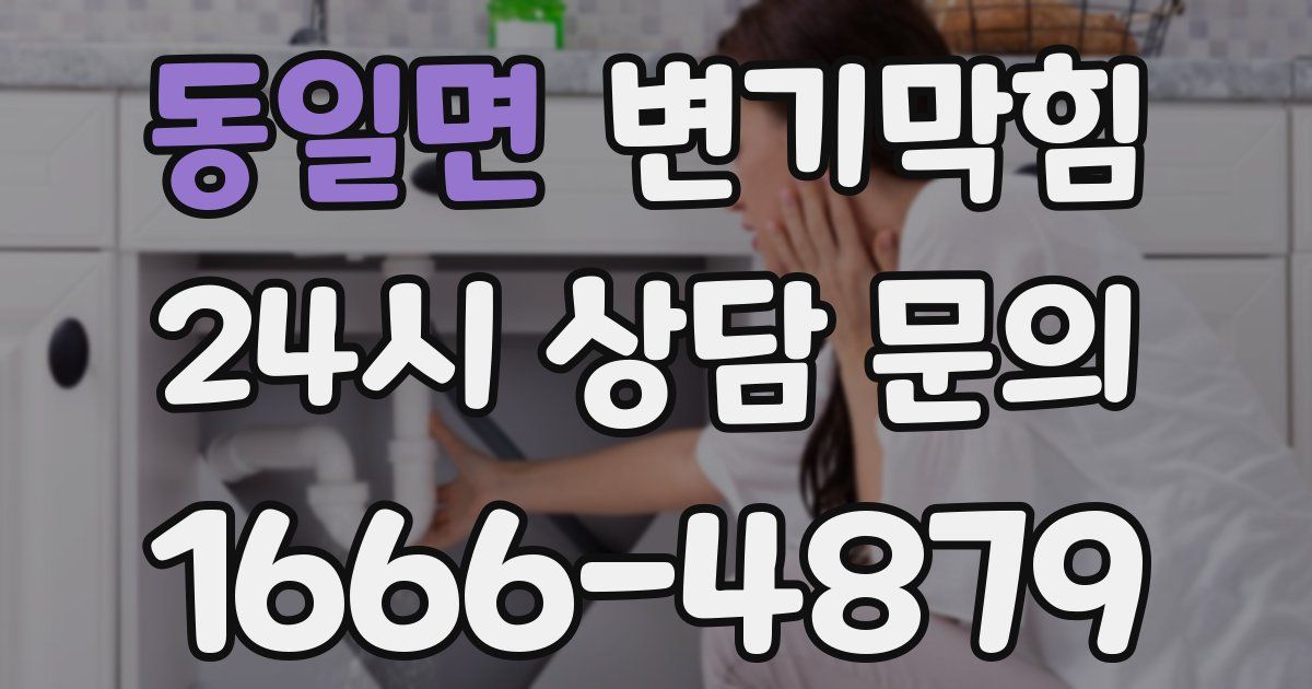 동일면 변기