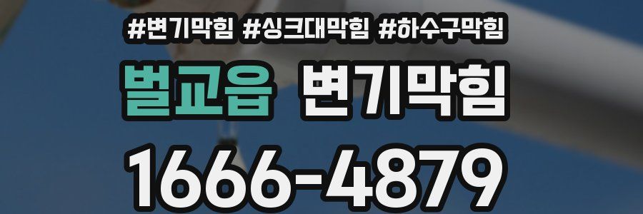변기막힘