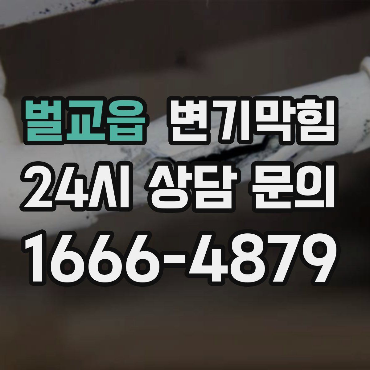 벌교읍 변기막힘