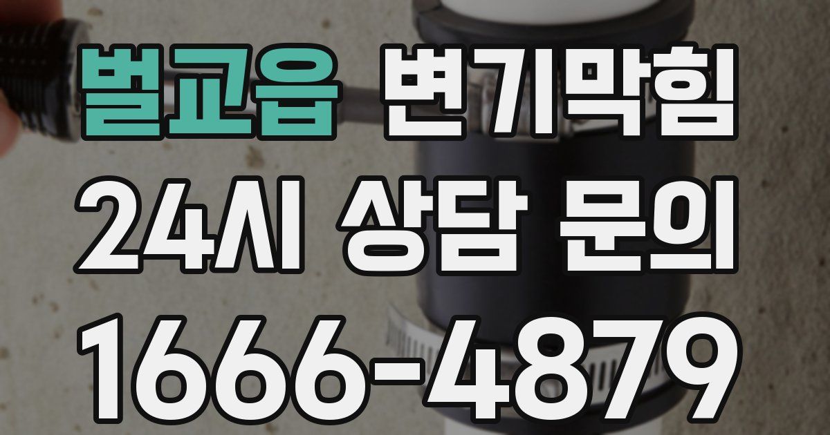 벌교읍 변기