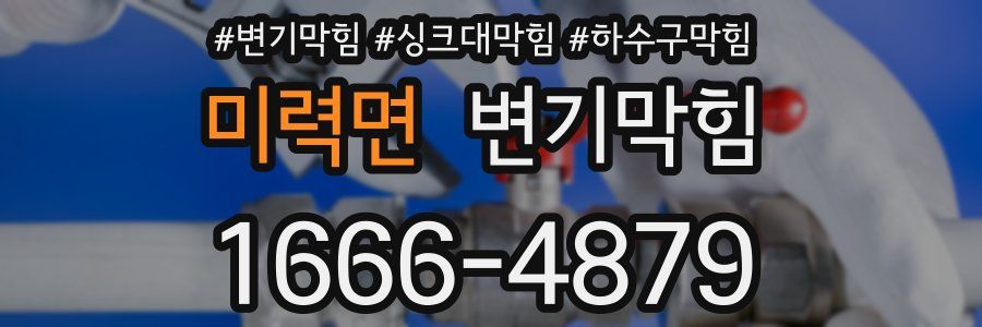 변기막힘