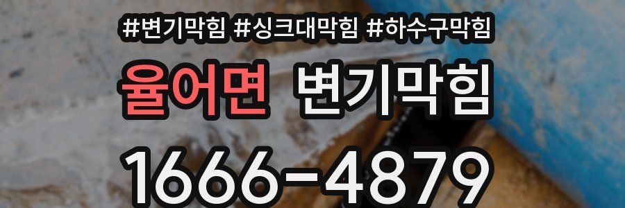 변기막힘