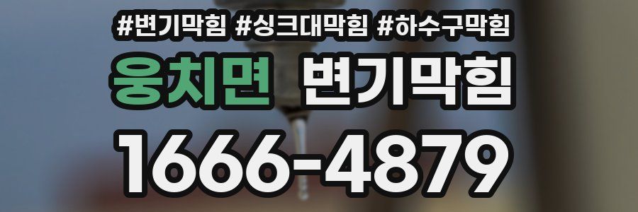 변기막힘