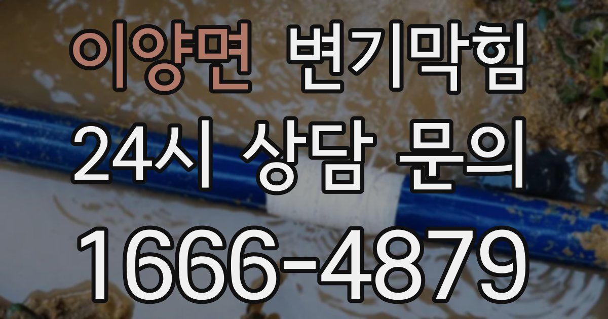 이양면 변기