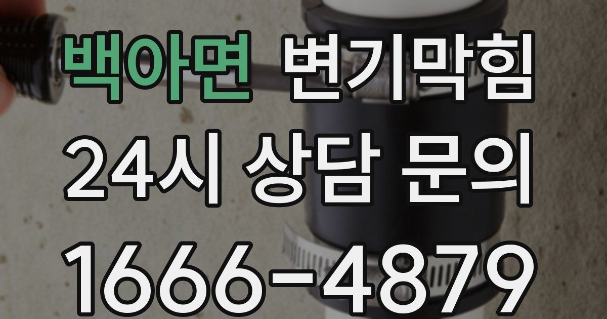 백아면 변기