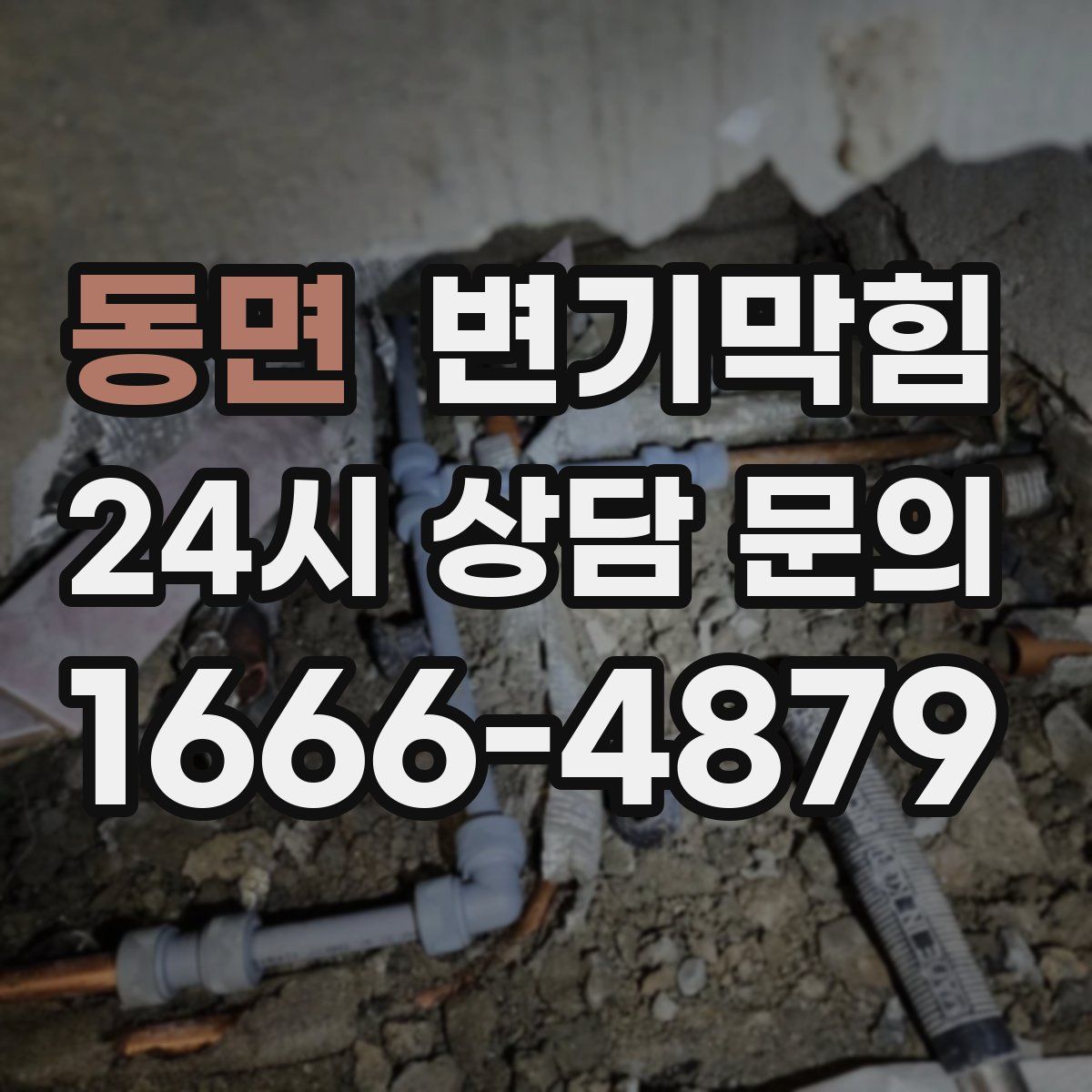 동면 변기막힘