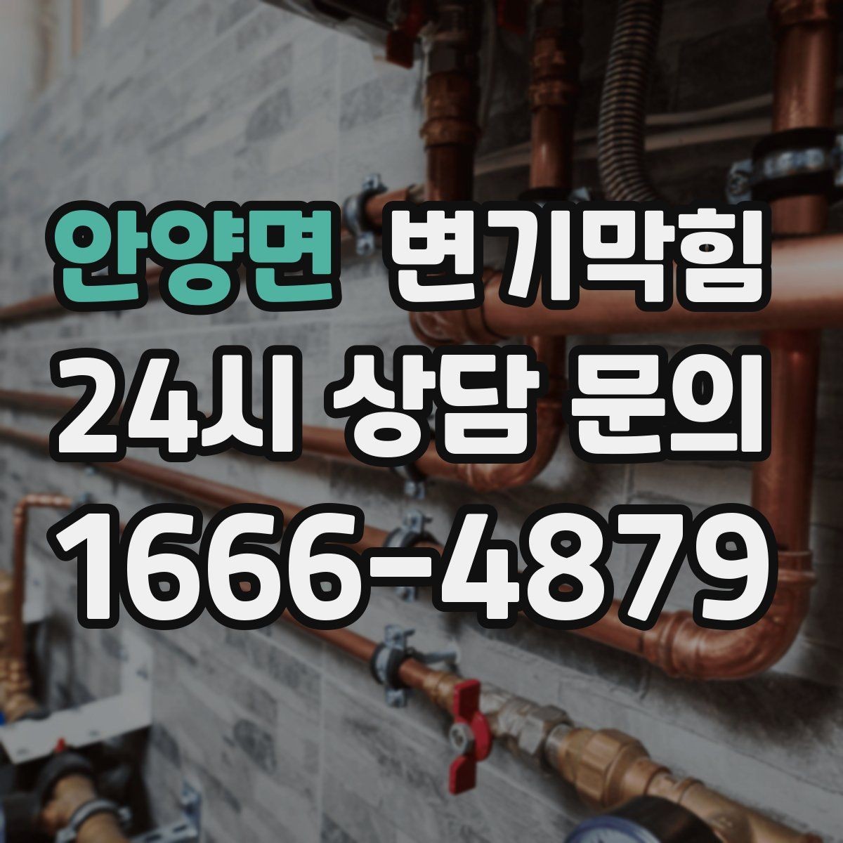 안양면 변기막힘 뚫어뻥 사용 시 냄새가 심해질 때의 원인