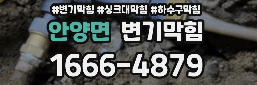 변기막힘