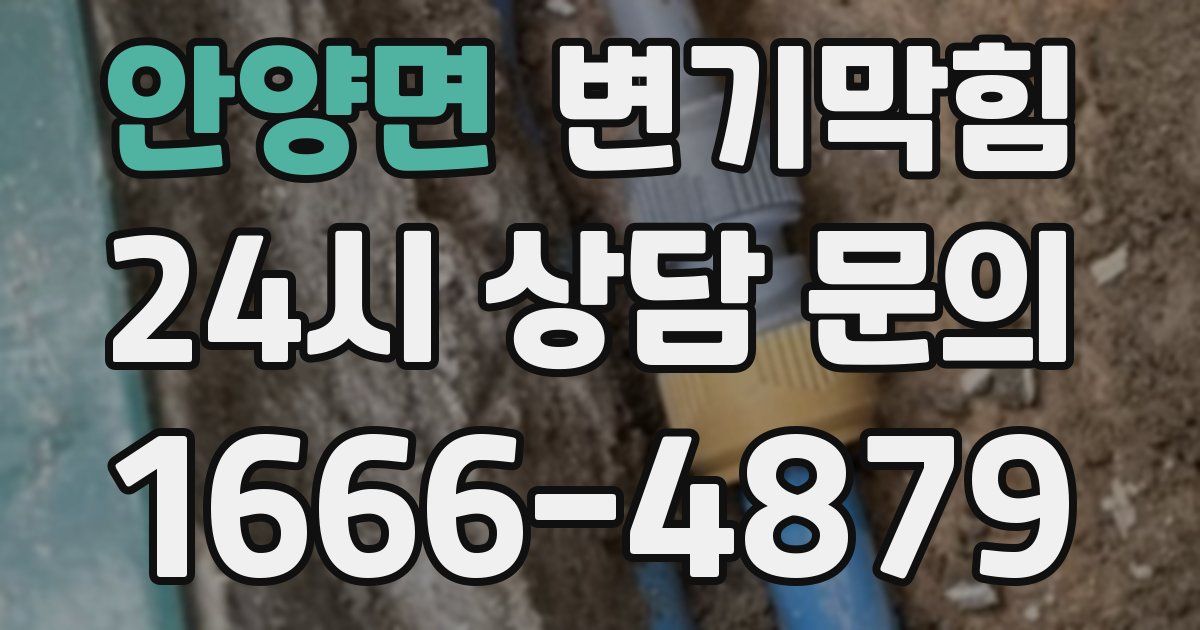 안양면 변기