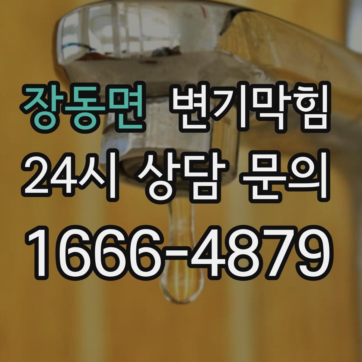 장동면 변기막힘 변기가 막혔을 때 거품·치익 소리 해석