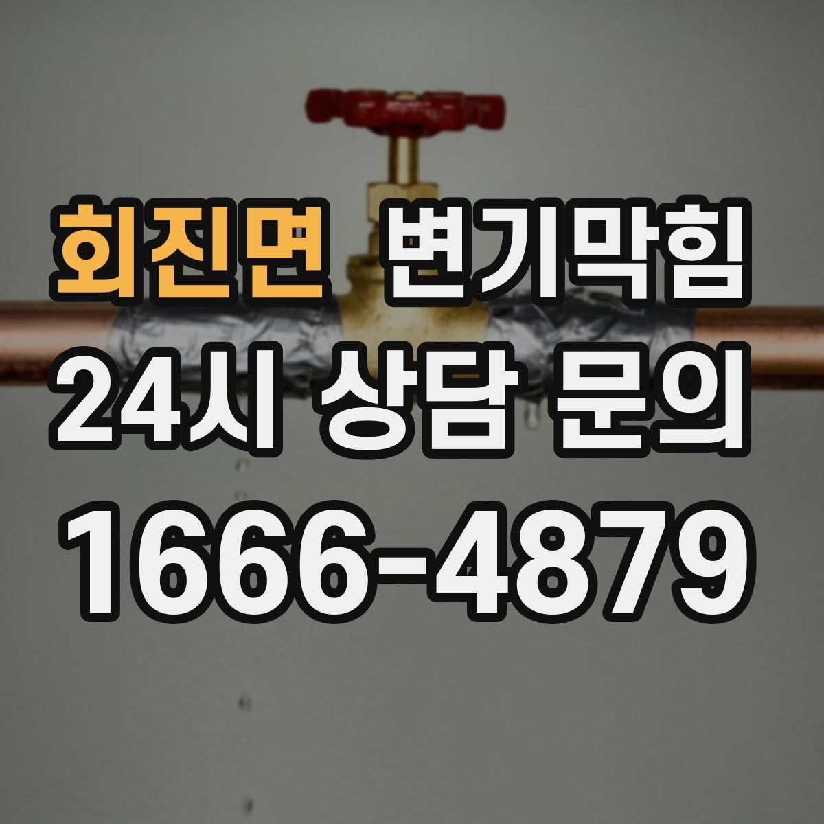 회진면 변기막힘