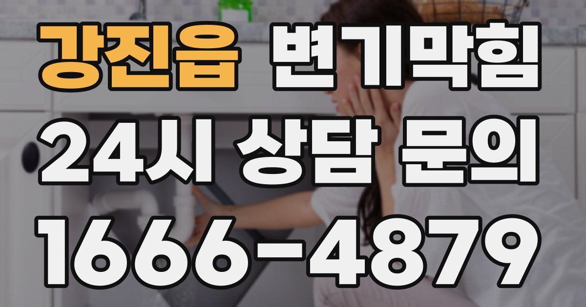 강진읍 변기