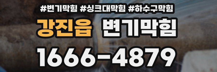 변기막힘