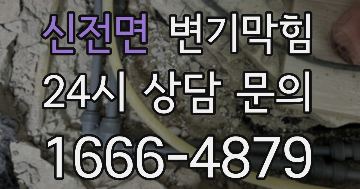 신전면 변기
