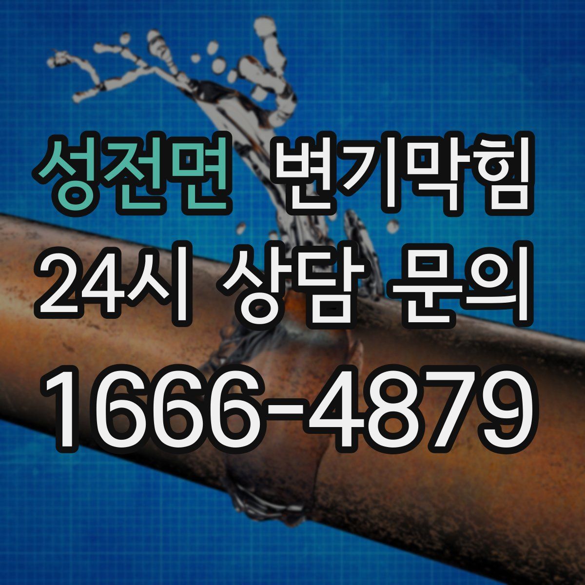 성전면 변기막힘