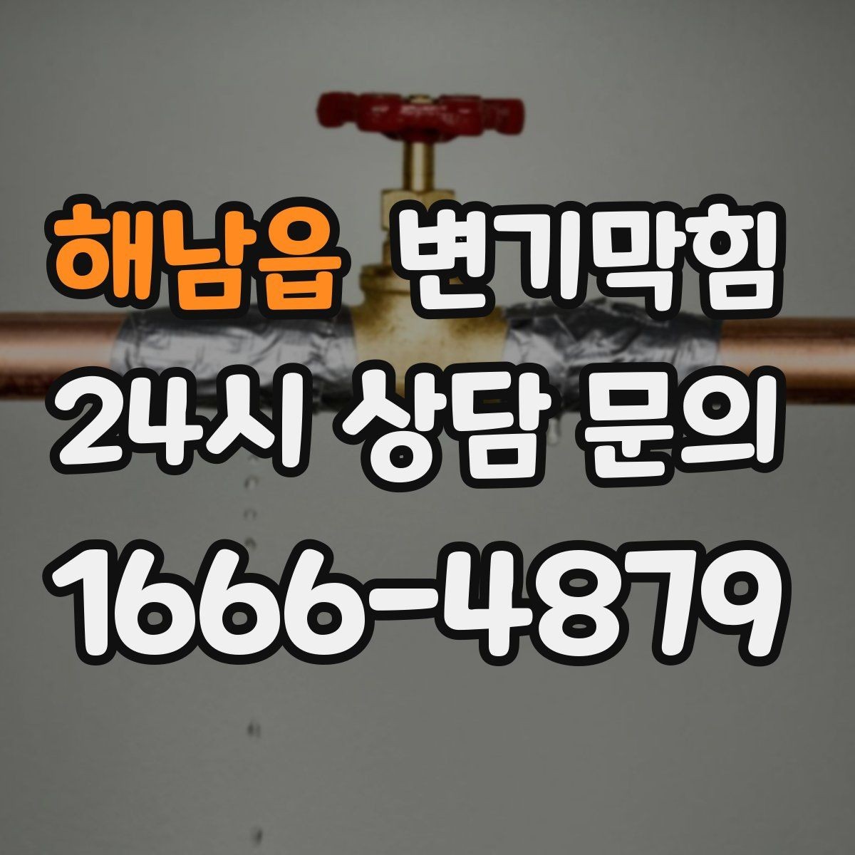 해남읍 변기막힘 변기가막혔을때 억지로 내리면 안 되는 까닭