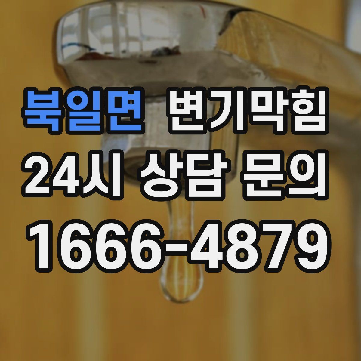 북일면 변기막힘 카페 화장실막힘 냄새 루트 차단