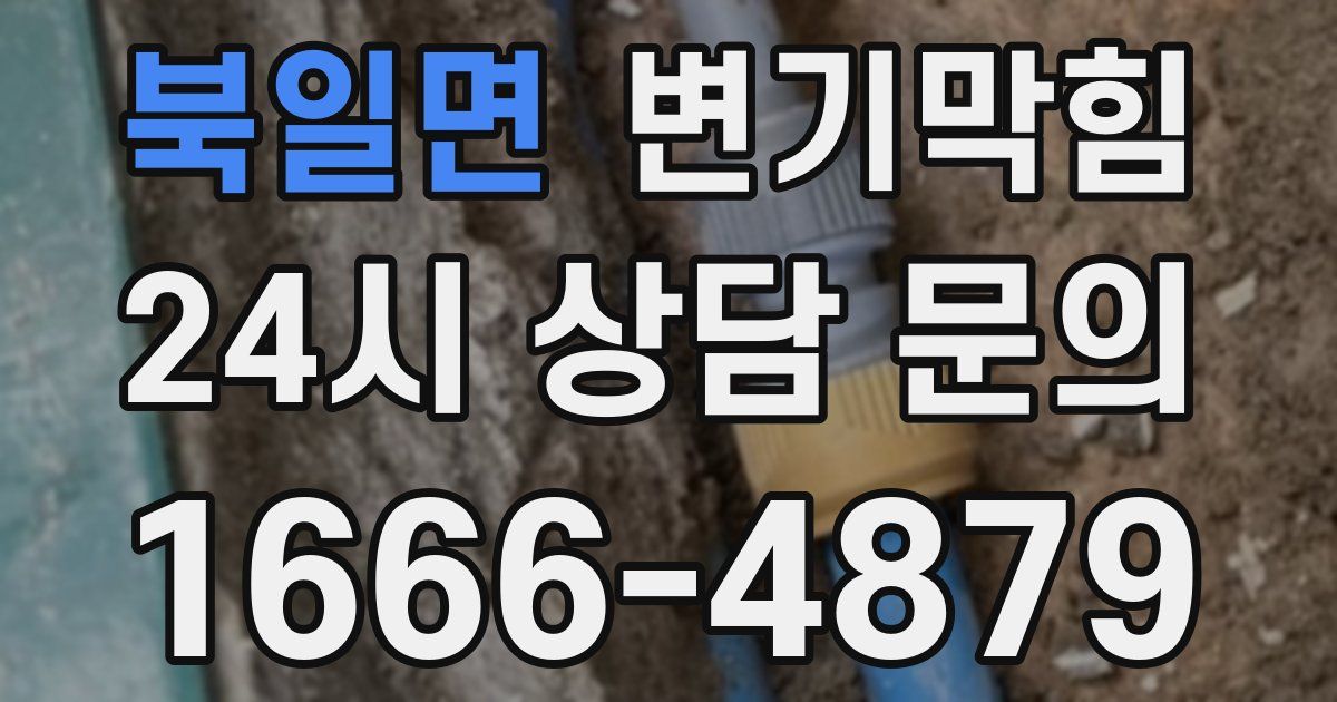 북일면 변기