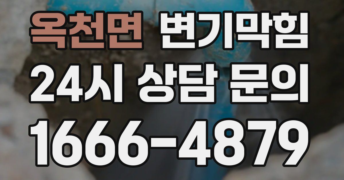 옥천면 변기