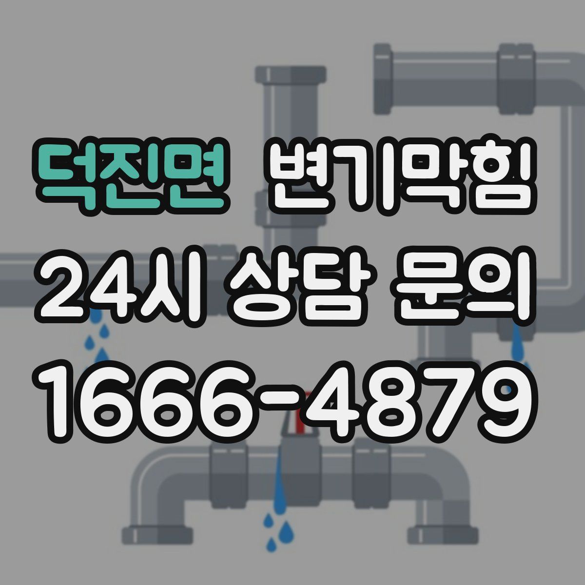 덕진면 변기막힘