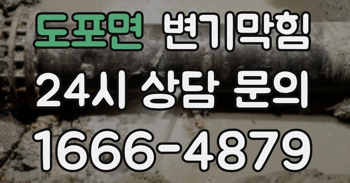 도포면 변기