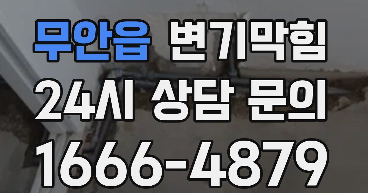 무안읍 변기
