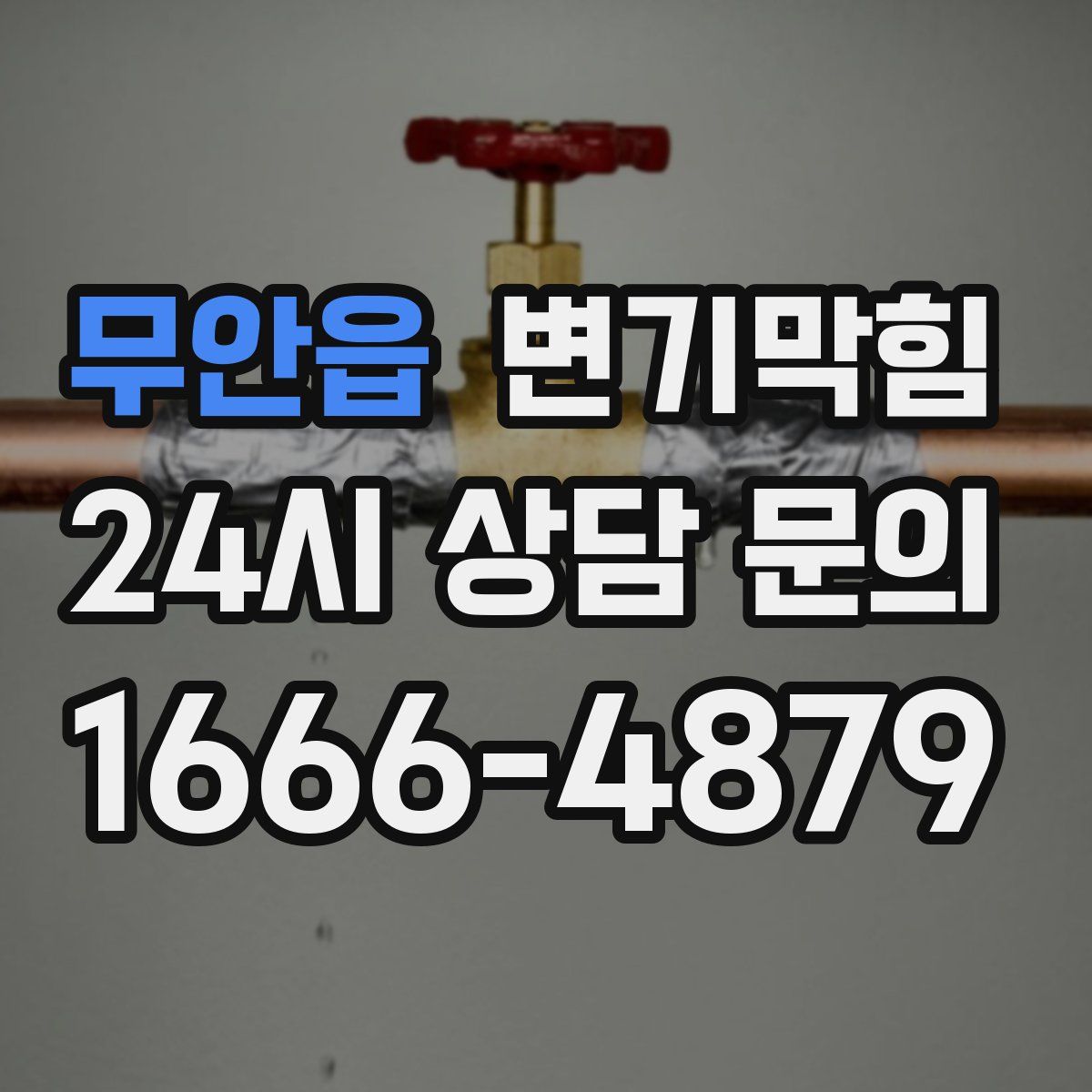 무안읍 변기막힘